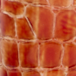 Perfect Block Sandal 60