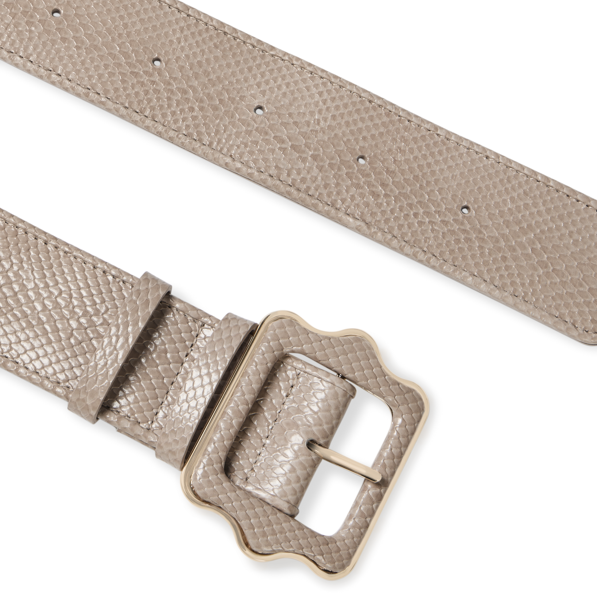 Vienna Waist Belt in Latte Embossed Calf